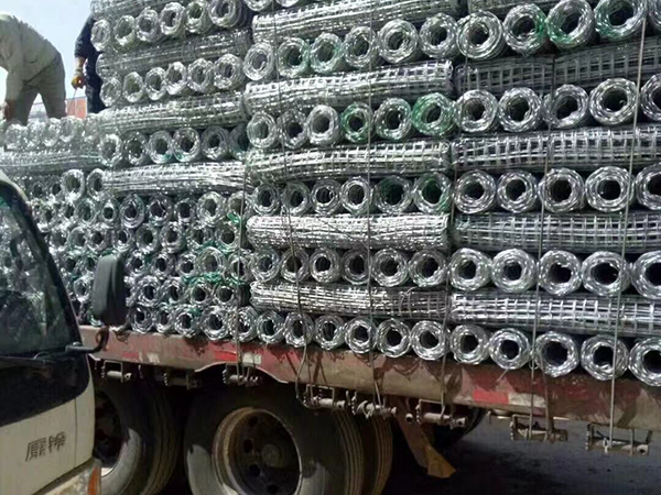 昆明青海鄭經理經緯網發貨